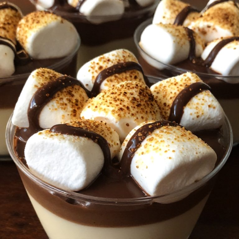 Easy No Bake S’mores Pudding Cups